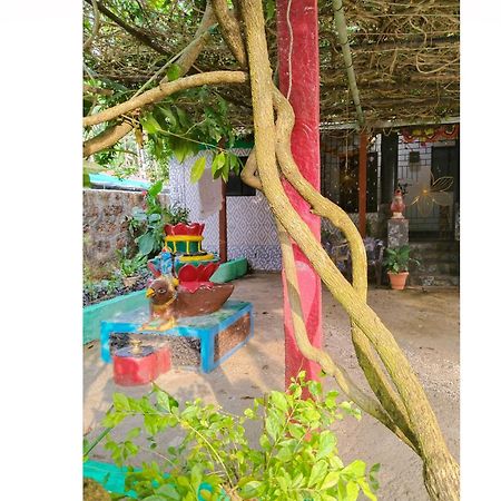 Cockerel Homestay - Traditional Beach Village - Goa カナコナ エクステリア 写真