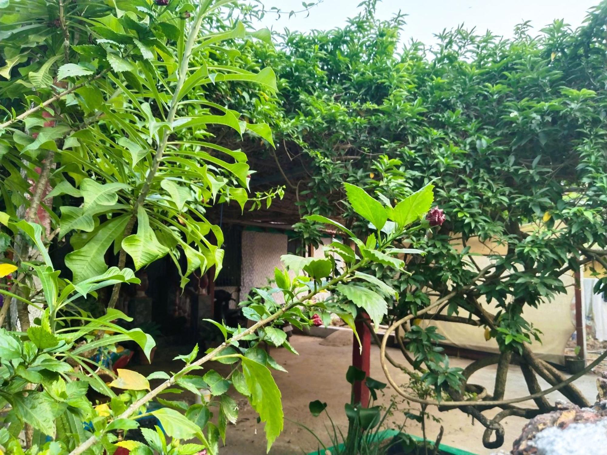 Cockerel Homestay - Traditional Beach Village - Goa カナコナ エクステリア 写真